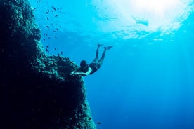 Snorkeling com especialista em biólogo marinho de Sorrento