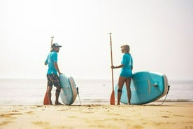 Sup Experiences in the ocean