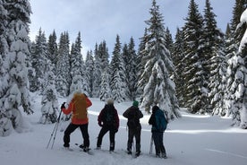 Bansko에서 Rhodope Mountains까지 스노우 슈잉 당일 치기 여행