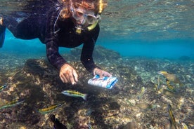 Begeleide snorkelervaring