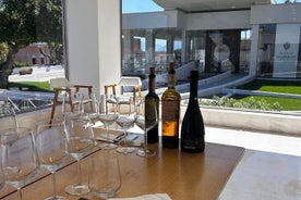 Small group wine tasting experience from Palermo