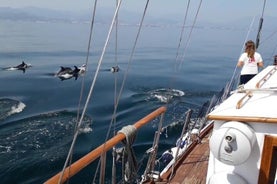 Avontuur om dolfijnen te spotten in de baai van Estepona