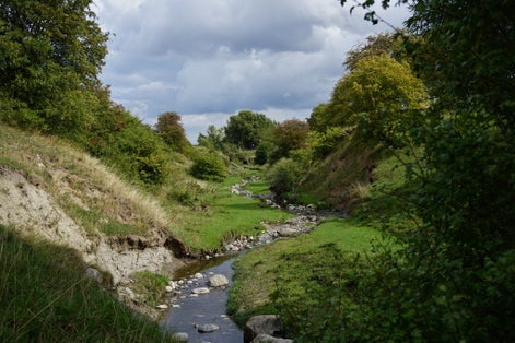 photo of above Rinnebäcksravinen Lund in Värpinge, Sweden.