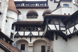 Visite du sanctuaire de l'ours brun, de la forteresse de Rasnov et du château de Bran au départ de Brasov